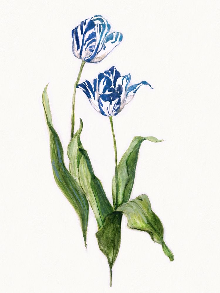 Blue Lively Botanical II art print by Sally Swatland for $57.95 CAD