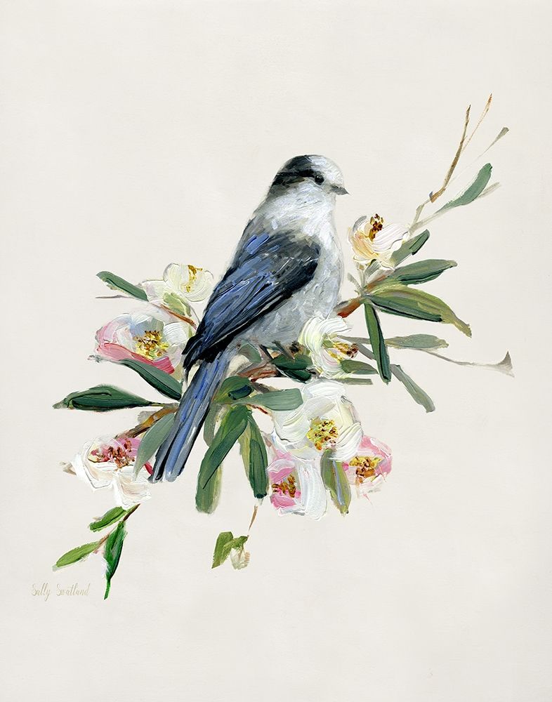 Spring Song Gray Jay art print by Sally Swatland for $57.95 CAD