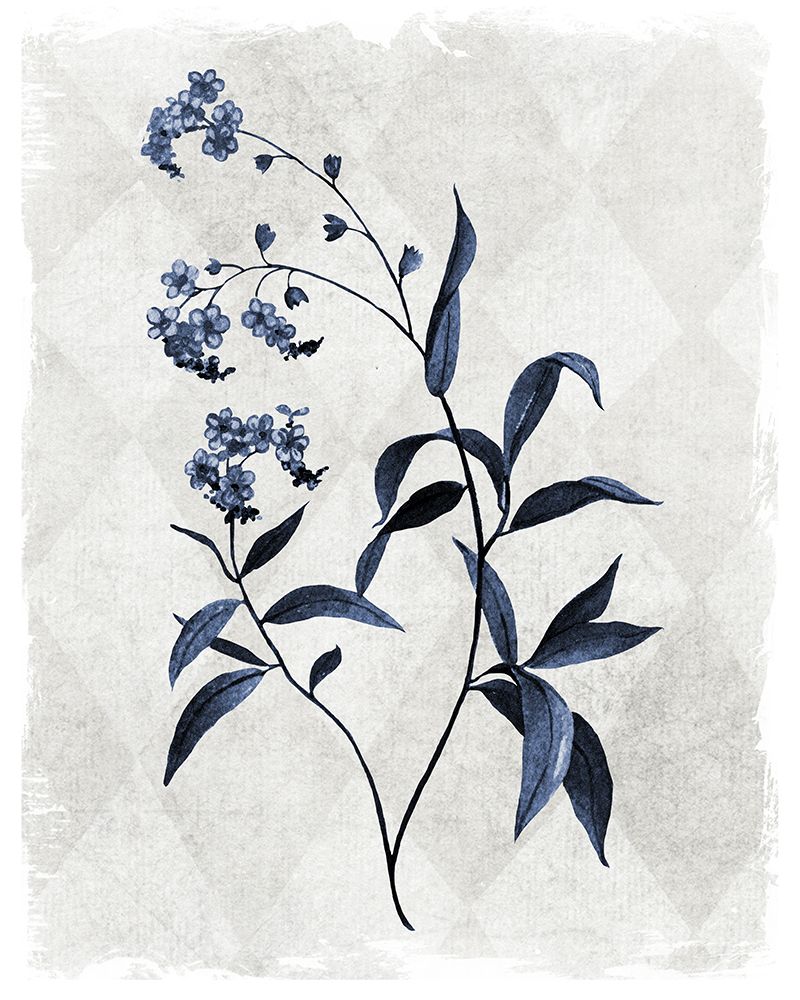 Harlequin Botanical I art print by Carol Robinson for $57.95 CAD