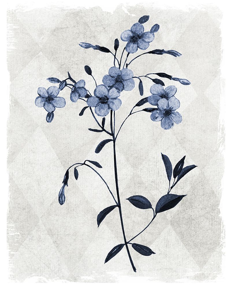 Harlequin Botanical III art print by Carol Robinson for $57.95 CAD