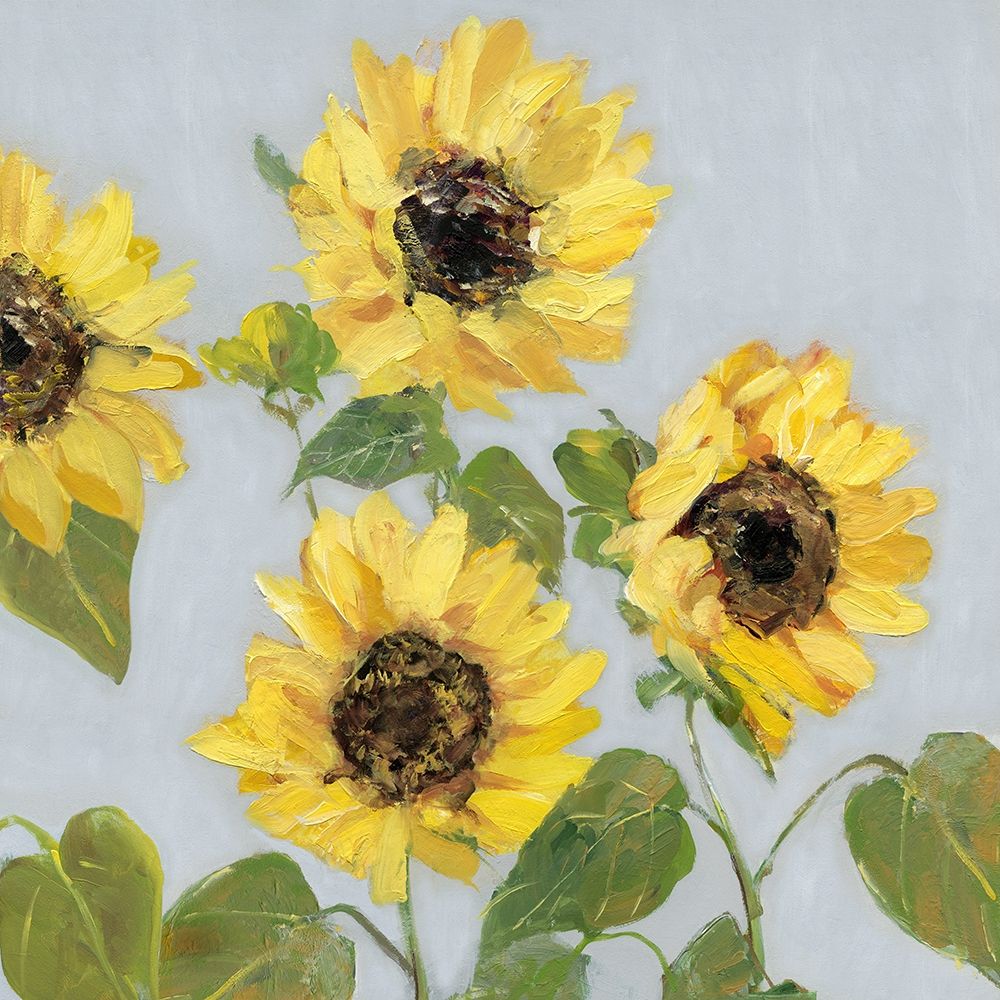 Sunflower Array I art print by Sally Swatland for $57.95 CAD
