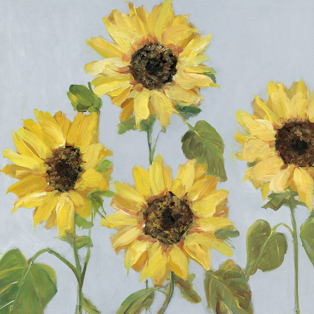 Sunflower Array II art print by Sally Swatland for $57.95 CAD