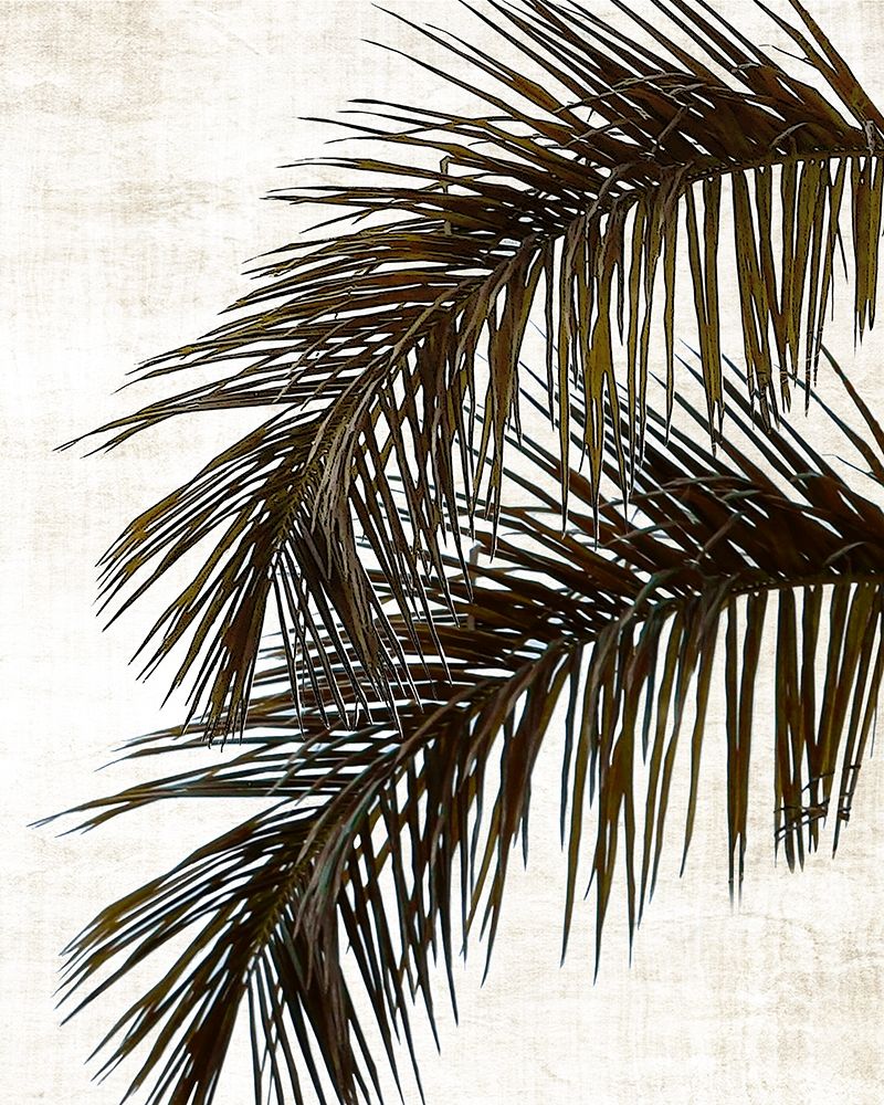 Palm II art print by Natalie Carpentieri for $57.95 CAD