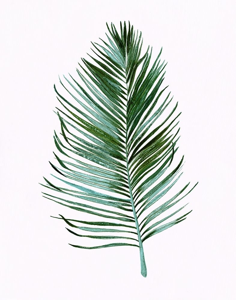 Sage Frond I art print by Tava Studios for $57.95 CAD