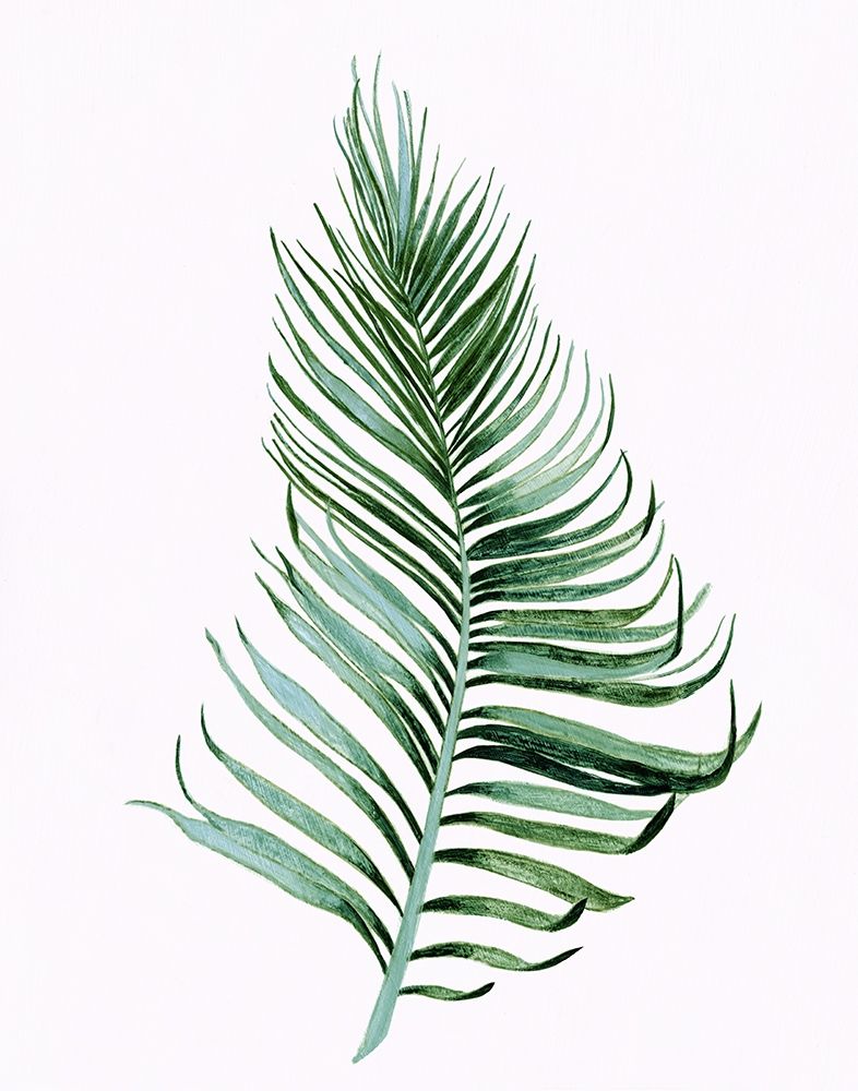 Sage Frond II art print by Tava Studios for $57.95 CAD