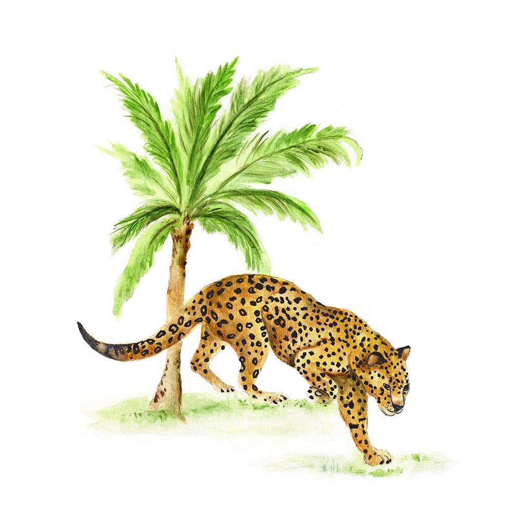 Jungle Cat I art print by Tava Studios for $57.95 CAD