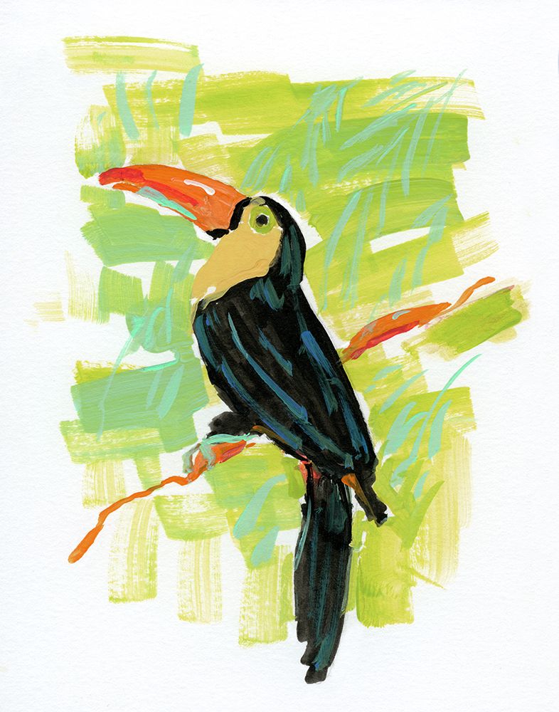 Exotic Toucan art print by Sally Swatland for $57.95 CAD
