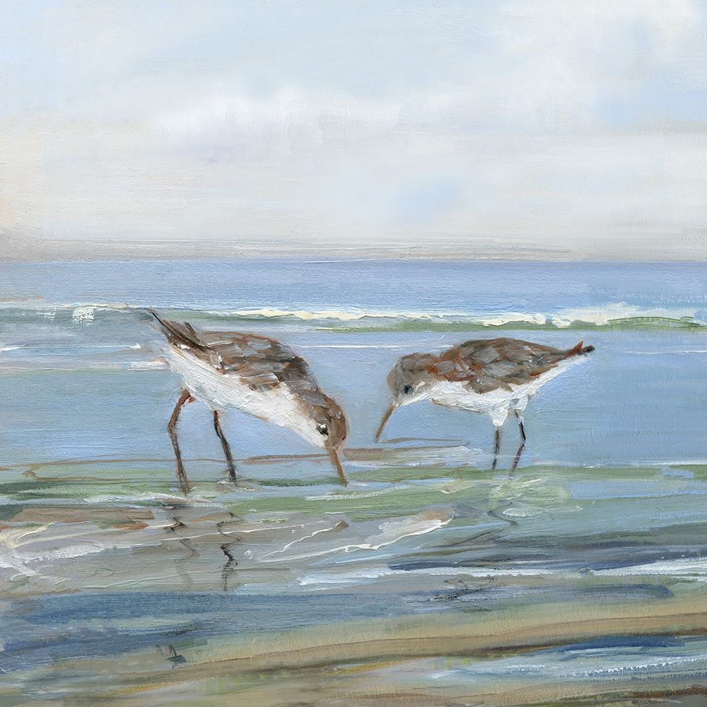 Seabird Beach II art print by Sally Swatland for $57.95 CAD
