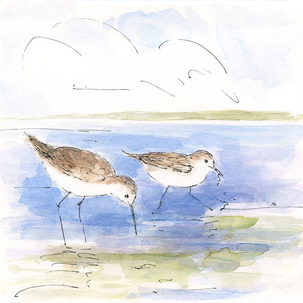 Sketchy Shore Birds I art print by Sally Swatland for $57.95 CAD