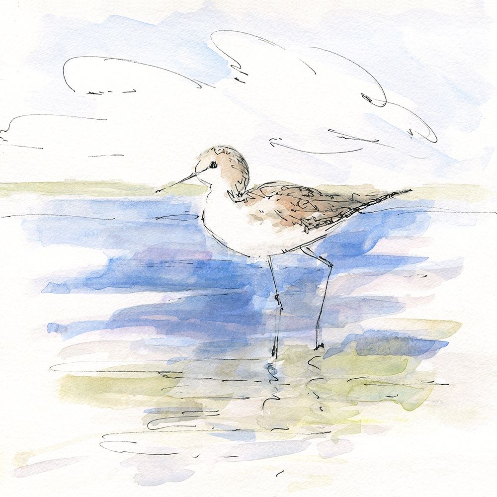 Sketchy Shore Birds II art print by Sally Swatland for $57.95 CAD