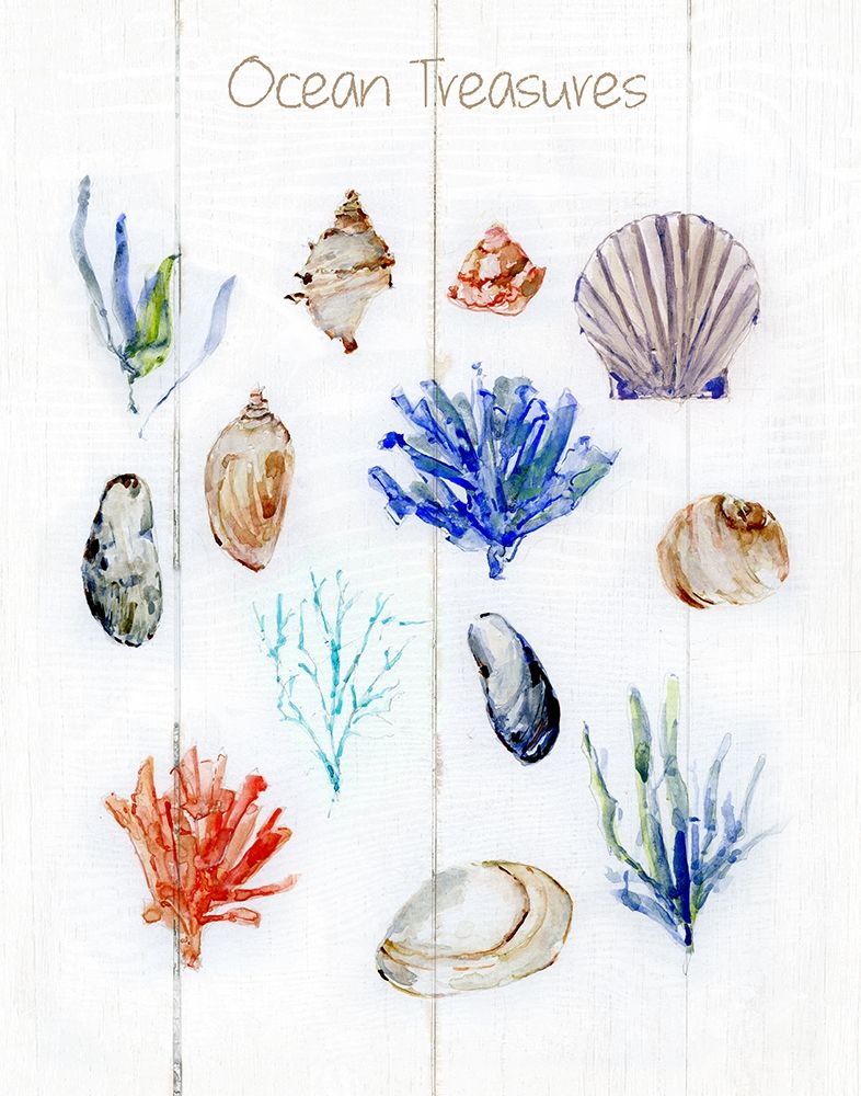 Ocean Treasures art print by Sally Swatland for $57.95 CAD
