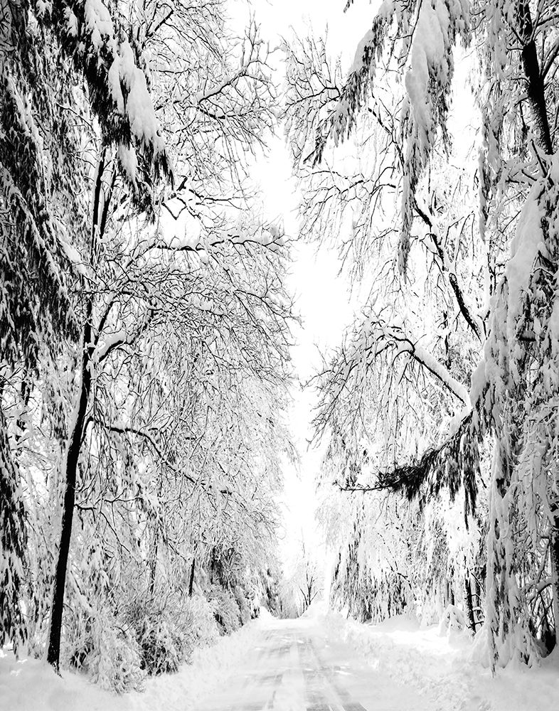 Wintery Dreams Path art print by Natalie Carpentieri for $57.95 CAD