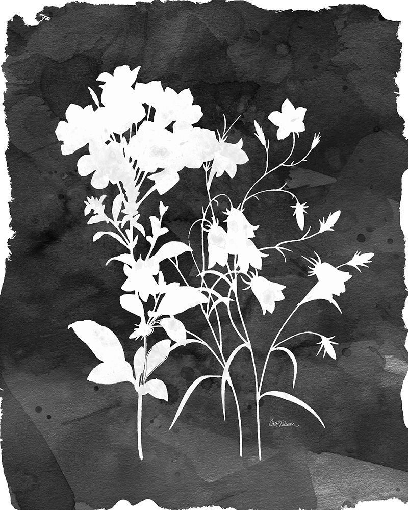 Black Botanical II art print by Carol Robinson for $57.95 CAD