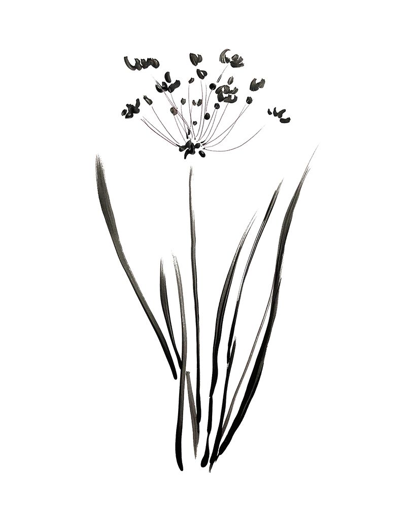 Inky Botanical II art print by Kelly Donovan for $57.95 CAD