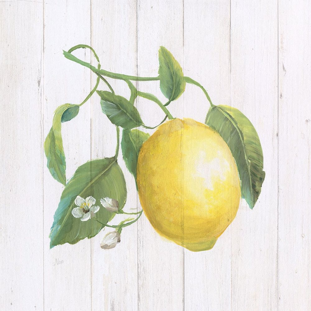 Lemon Fresh I art print by Nan for $57.95 CAD