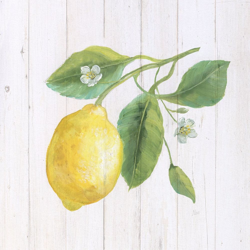 Lemon Fresh II art print by Nan for $57.95 CAD