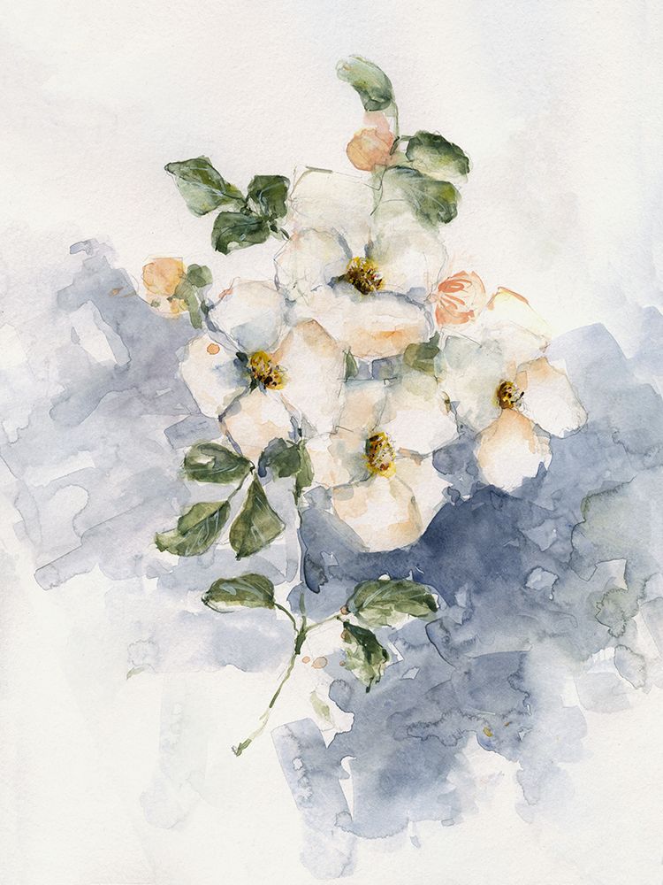 Dogwood Blossoms II art print by Sally Swatland for $57.95 CAD