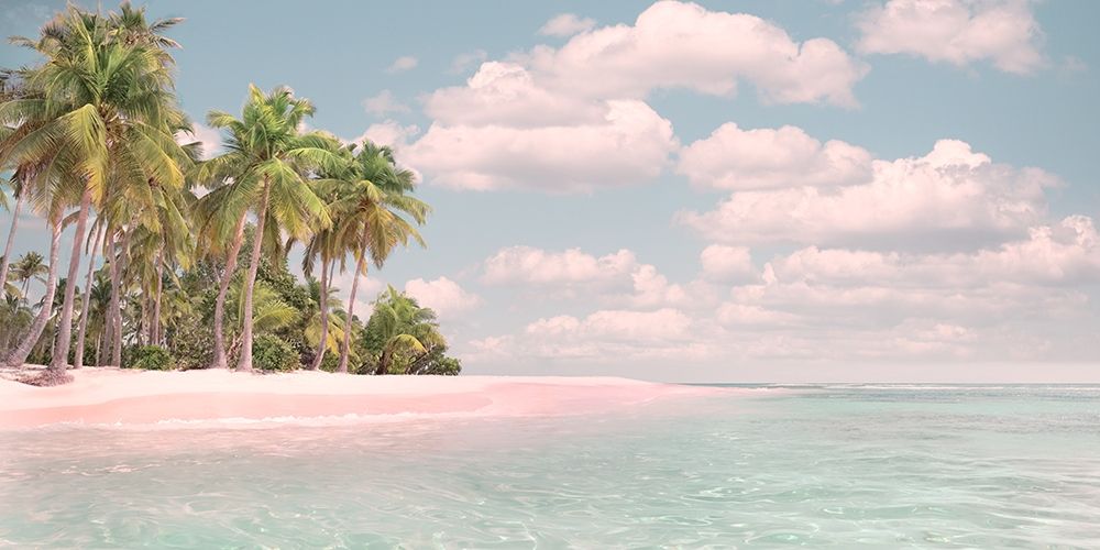 Pink Sand and Palms art print by Mike Calascibetta for $57.95 CAD