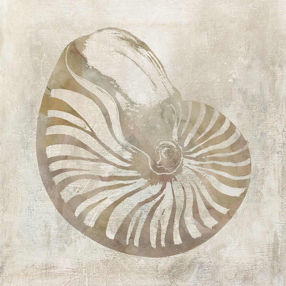 Seashell Illusion I art print by Carol Robinson for $57.95 CAD