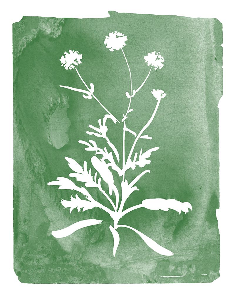 Green Botanical I art print by Kelly Donovan for $57.95 CAD