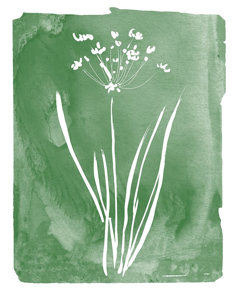Green Botanical II art print by Kelly Donovan for $57.95 CAD