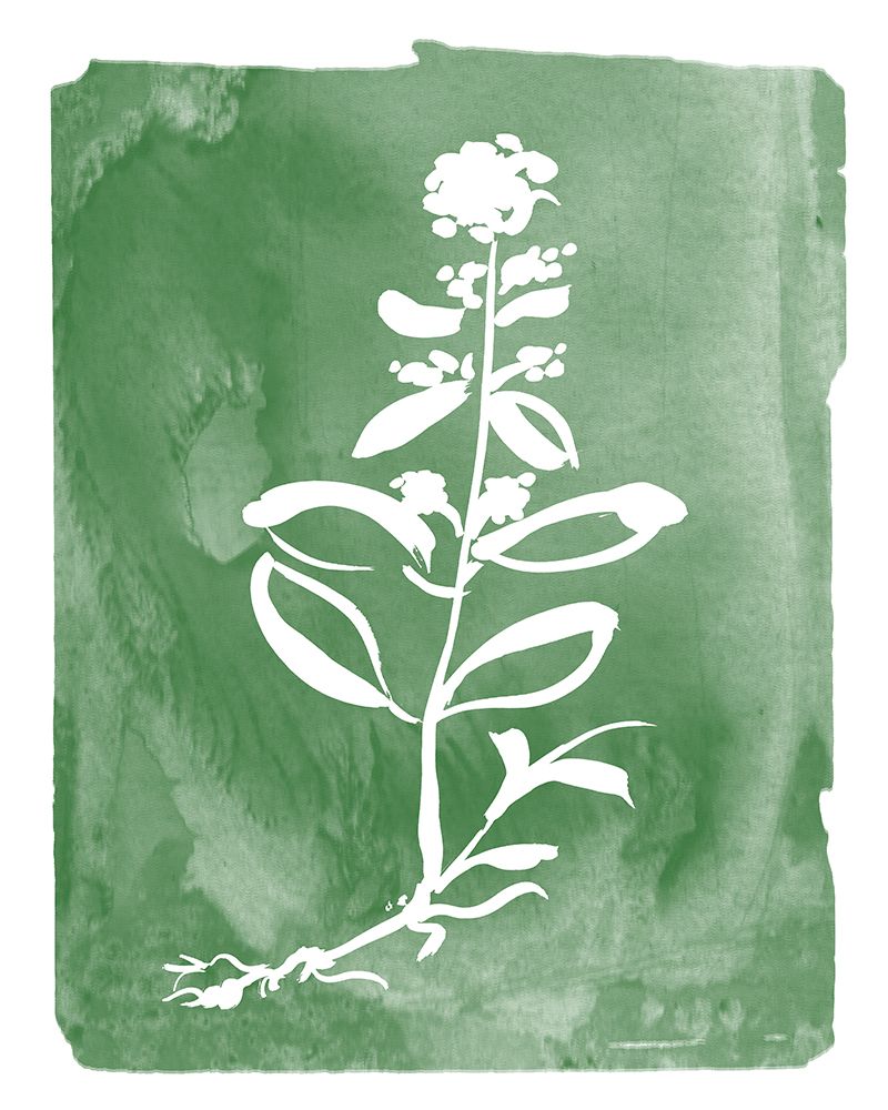 Green Botanical III art print by Kelly Donovan for $57.95 CAD