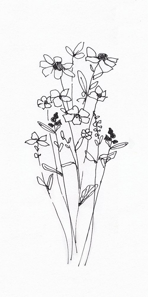 Wildflowers Sketch I art print by Sally Swatland for $57.95 CAD