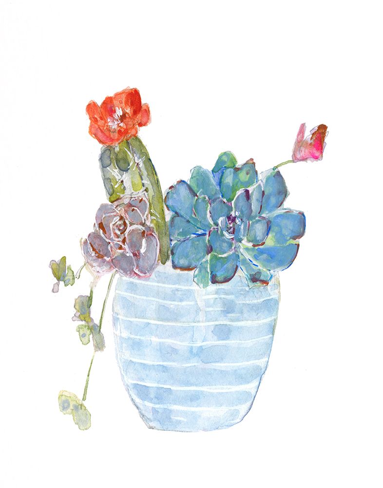 Cactus and Succulent Blooms I art print by Sally Swatland for $57.95 CAD