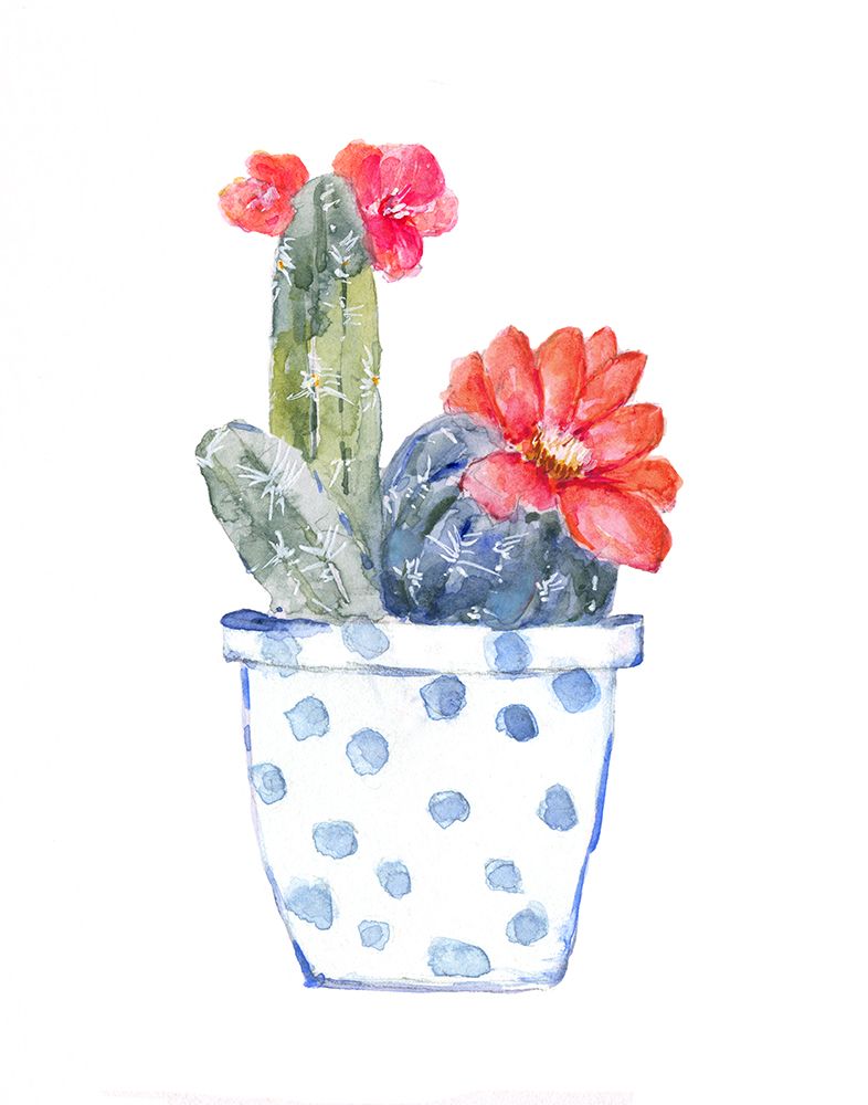 Cactus and Succulent Blooms II art print by Sally Swatland for $57.95 CAD