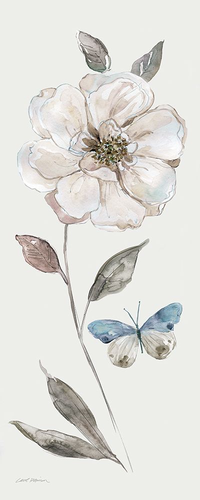 Frosted White Rose art print by Carol Robinson for $57.95 CAD