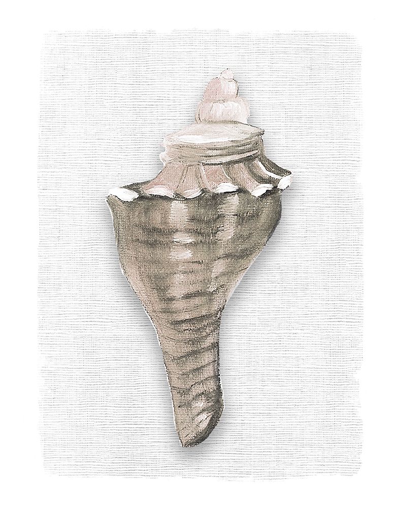 Sea Front Shell I art print by Carol Robinson for $57.95 CAD