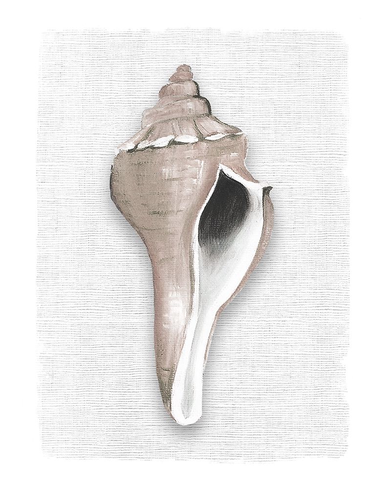 Sea Front Shell II art print by Carol Robinson for $57.95 CAD