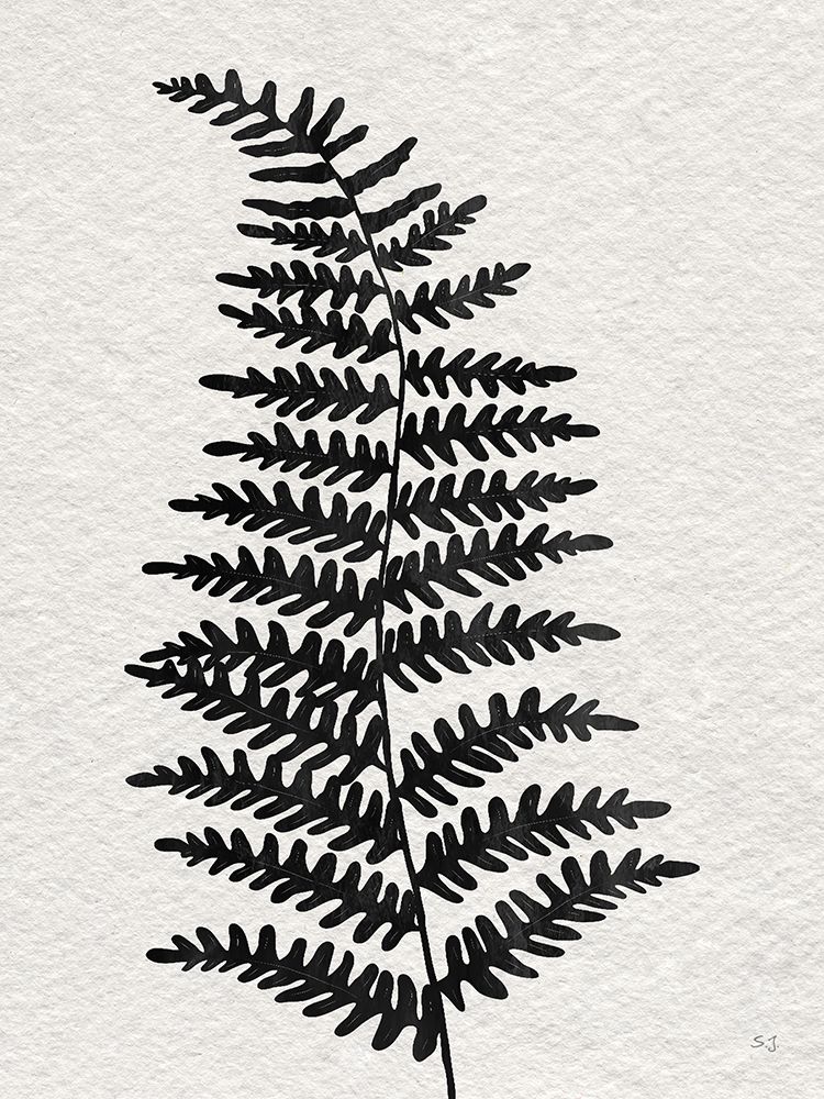 Forest Fern II art print by Susan Jill for $57.95 CAD