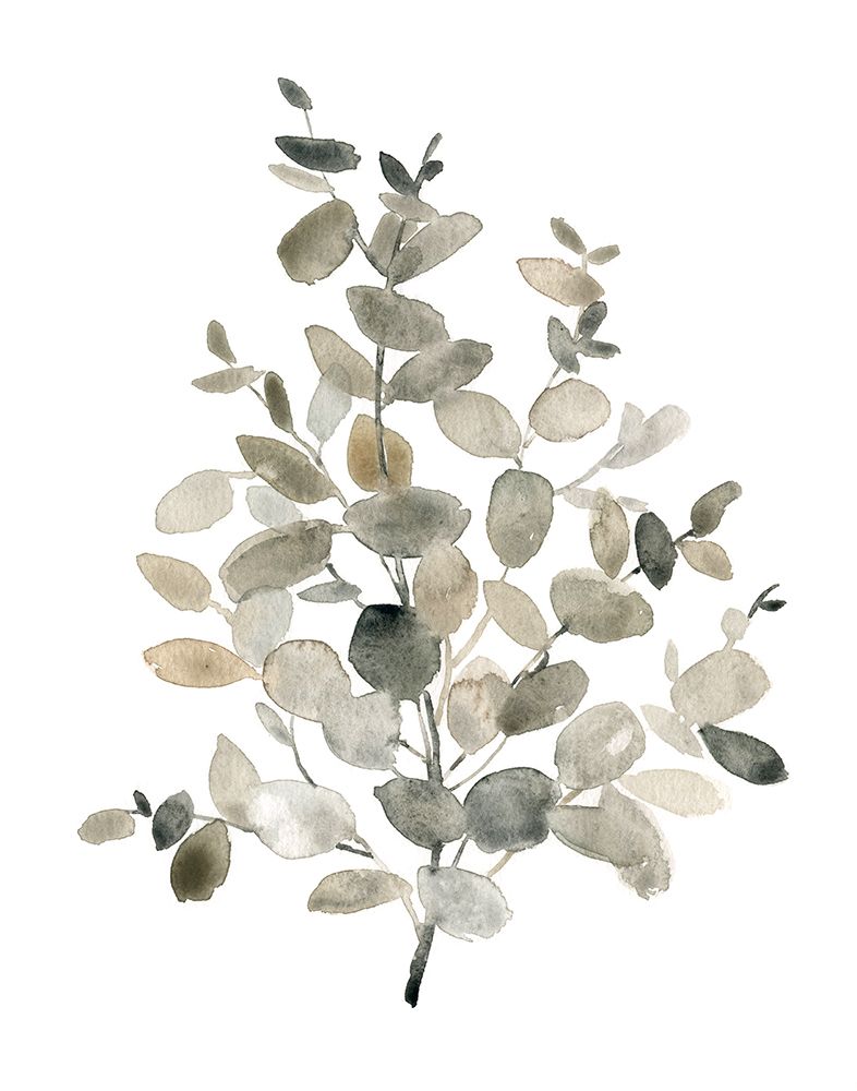 Neutral Eucalyptus II art print by Carol Robinson for $57.95 CAD