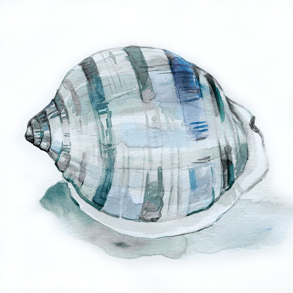 Le Coquillage I art print by Carol Robinson for $57.95 CAD