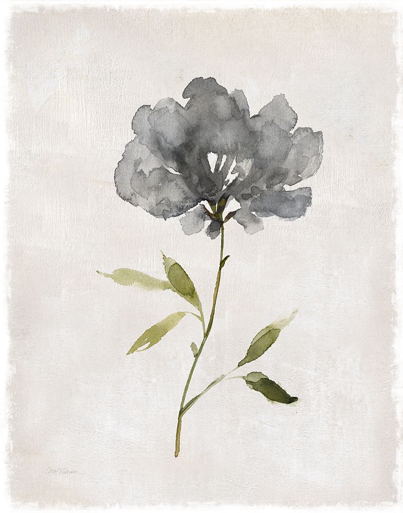 Botanical Beauty I art print by Carol Robinson for $57.95 CAD