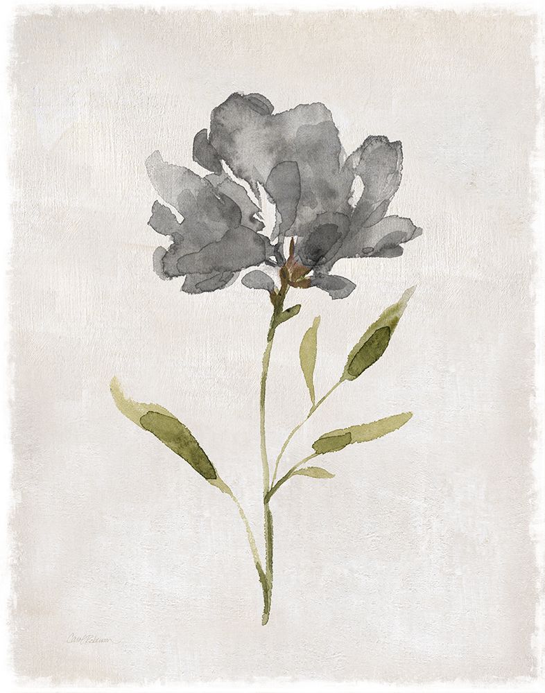 Botanical Beauty II art print by Carol Robinson for $57.95 CAD