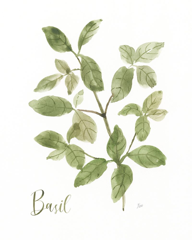Herb Basil art print by Nan for $57.95 CAD