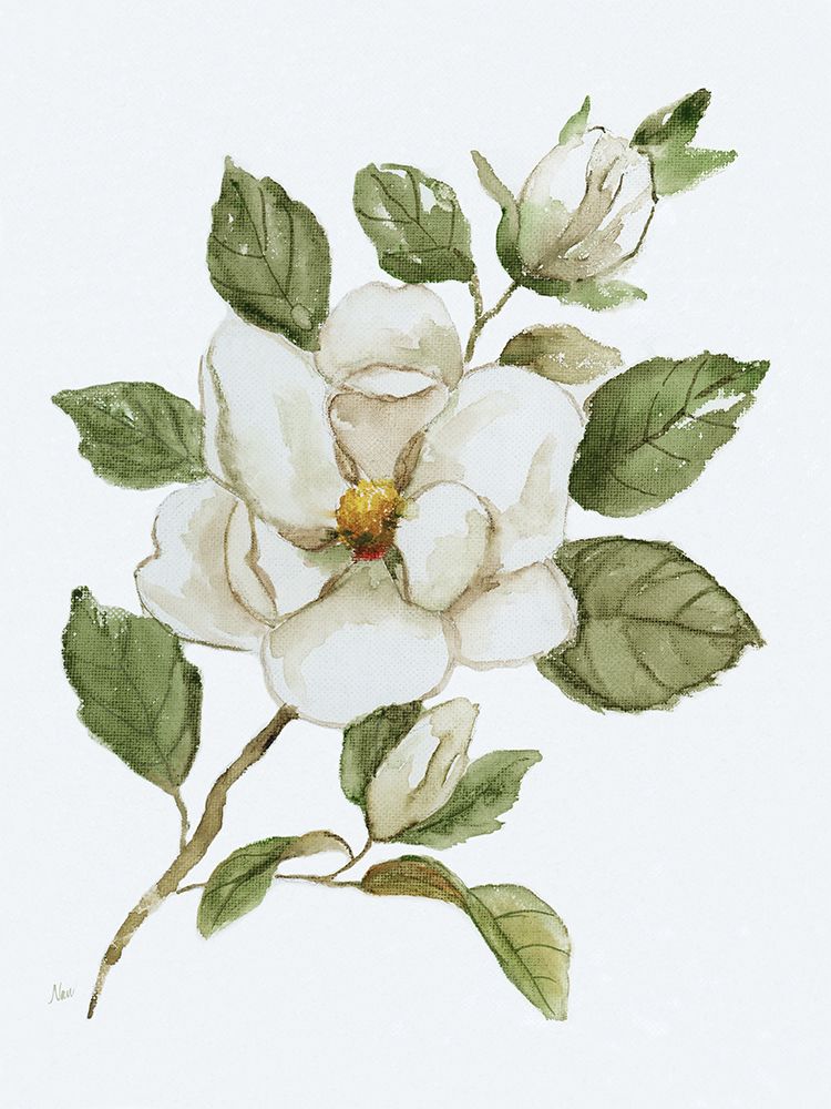 Magnolia Morning I art print by Nan for $57.95 CAD