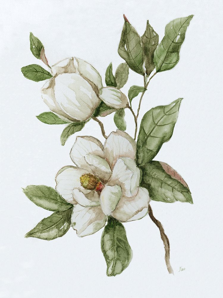 Magnolia Morning II art print by Nan for $57.95 CAD