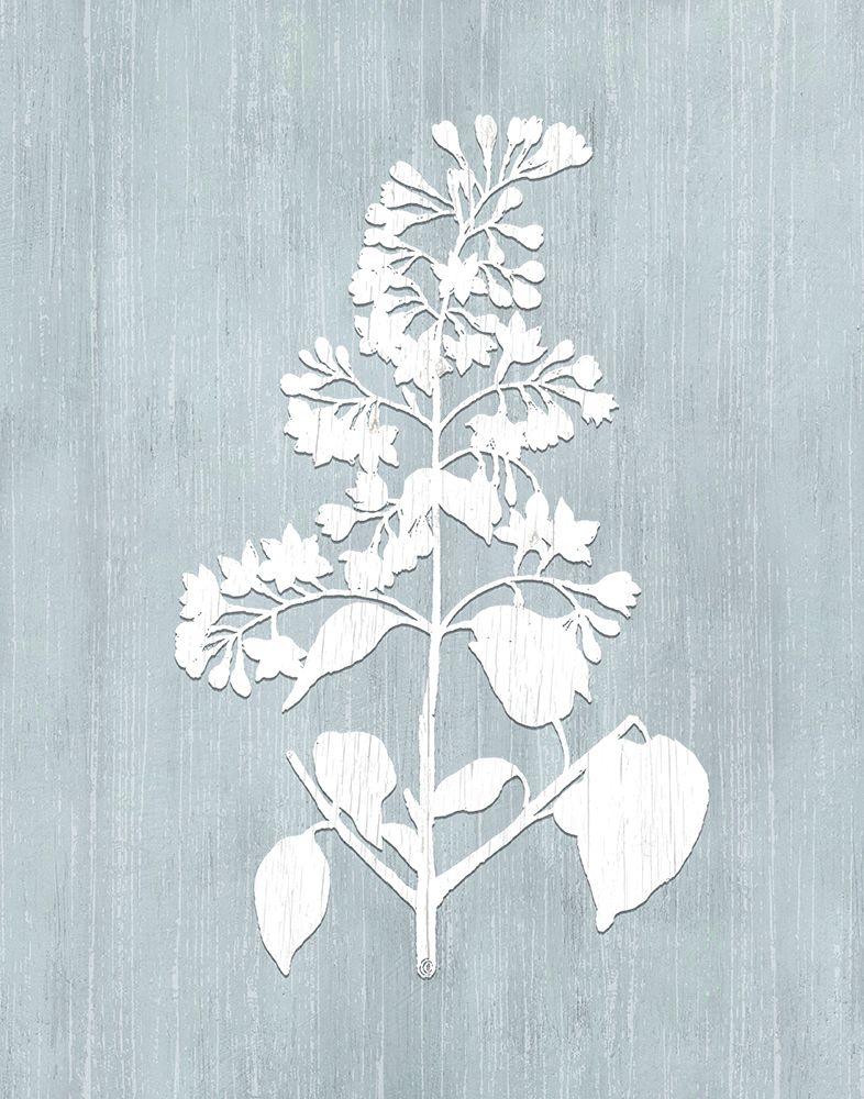 Botany Beauty IV art print by CAD Designs for $57.95 CAD