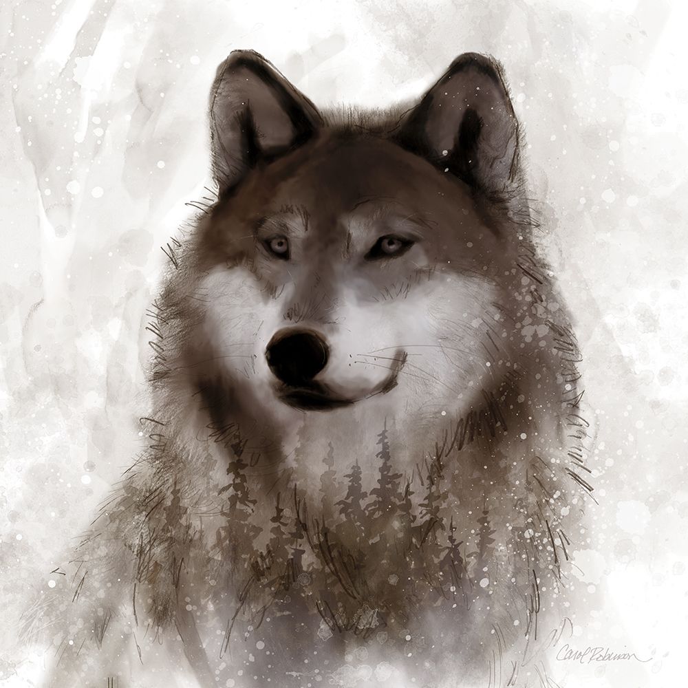 Forest Wolf art print by Carol Robinson for $57.95 CAD