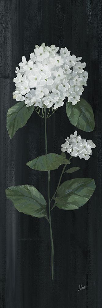 White Country Botanical II art print by Nan for $57.95 CAD