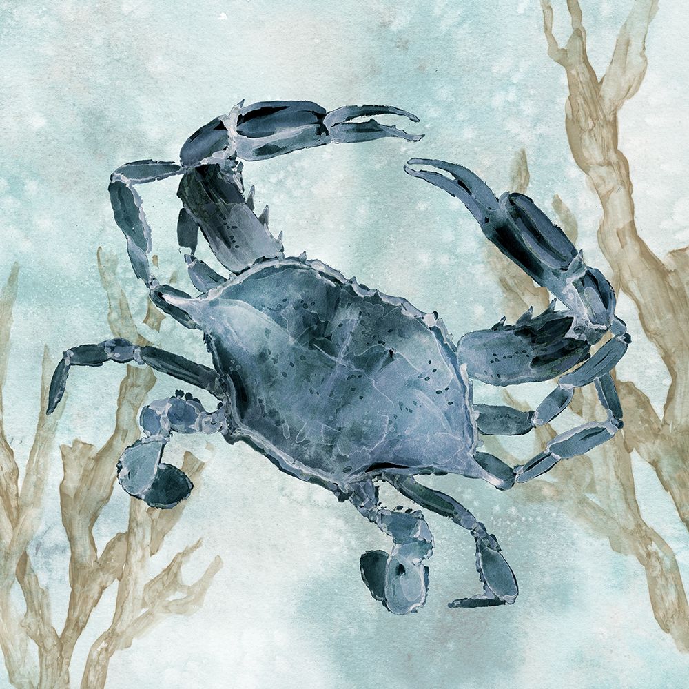 Navy Crab art print by Carol Robinson for $57.95 CAD