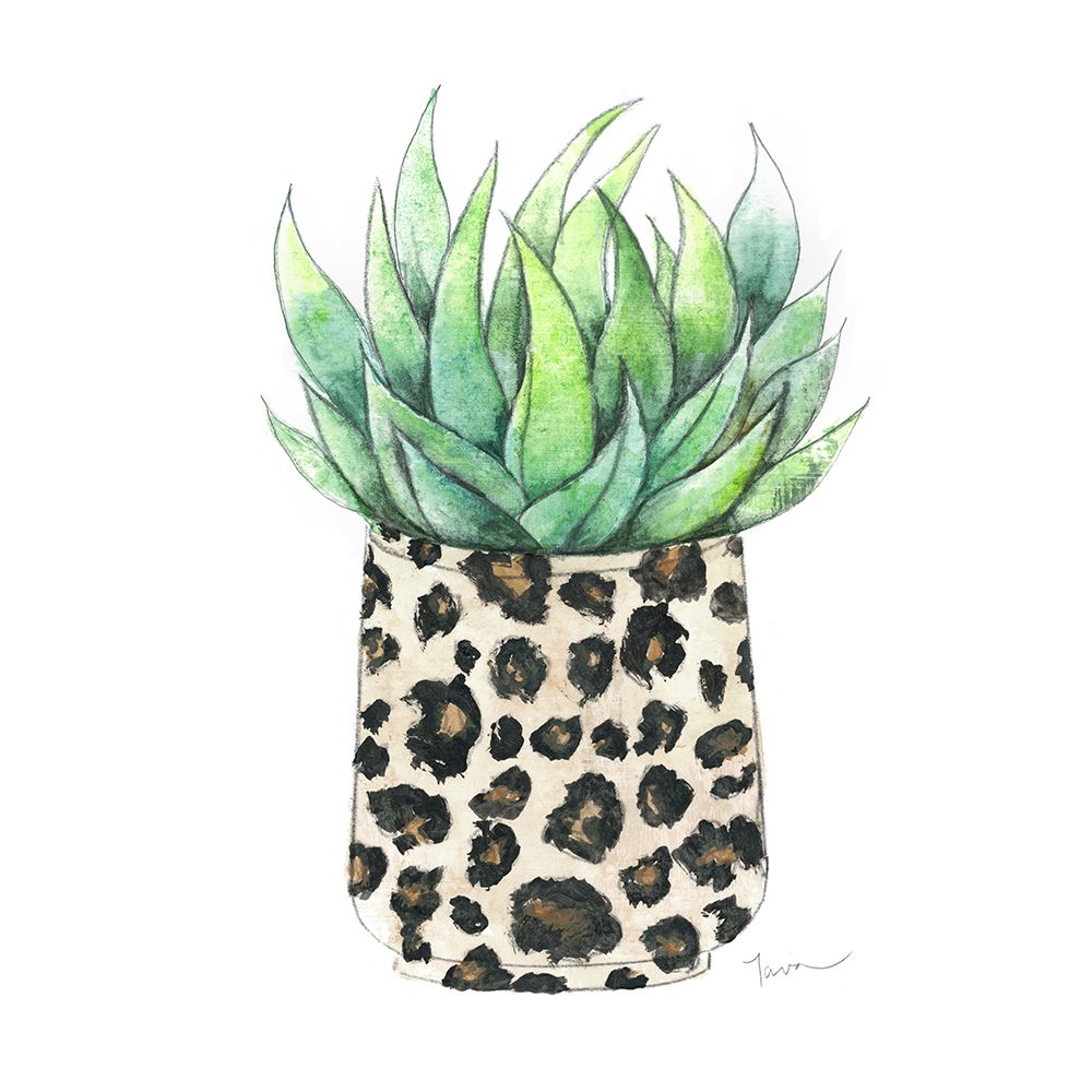 Spotted Agave art print by Tava Studios for $57.95 CAD