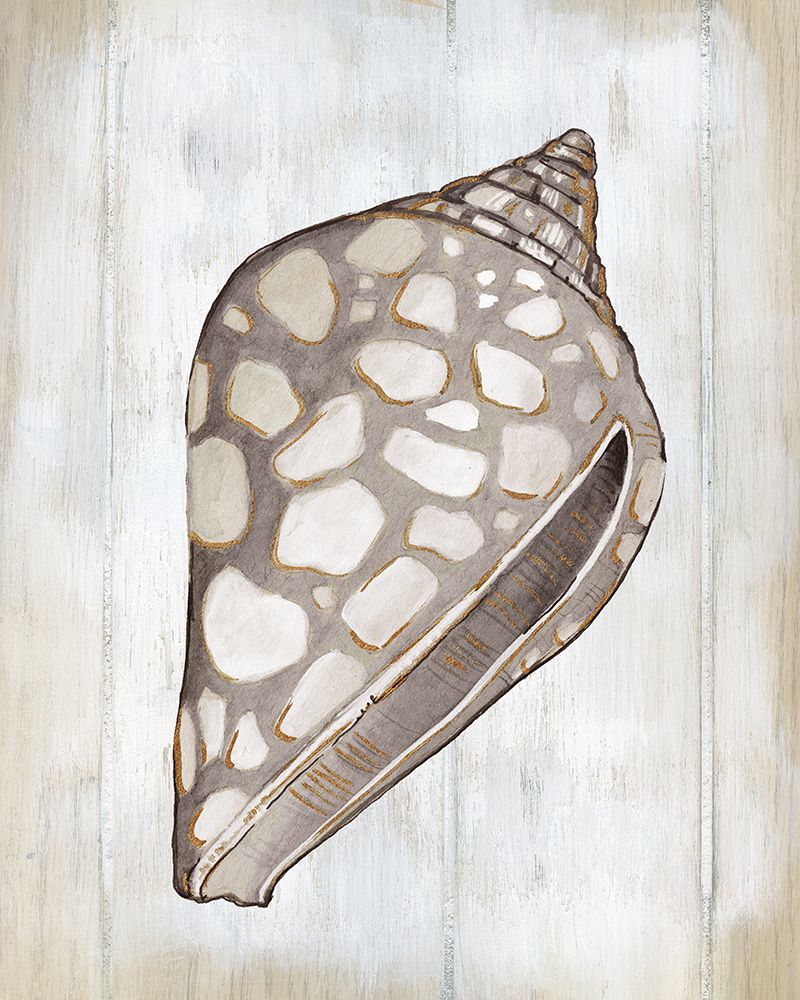 Ocean Cone I art print by Carol Robinson for $57.95 CAD