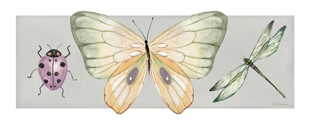 Pretty Insects I art print by Carol Robinson for $57.95 CAD