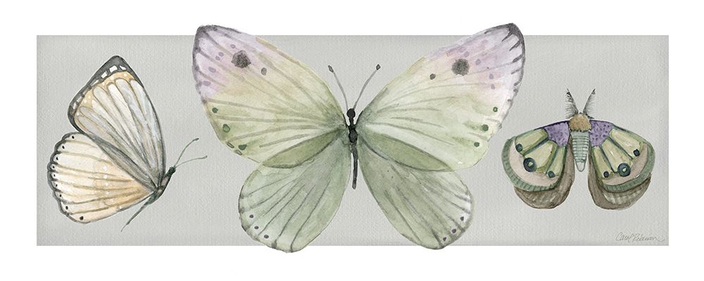 Pretty Insects II art print by Carol Robinson for $57.95 CAD