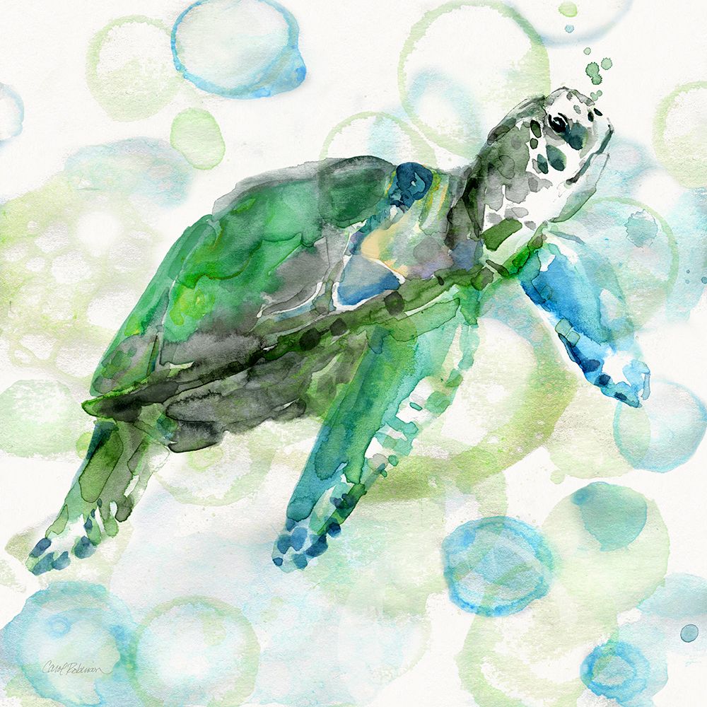 Turtle Bubbles I art print by Carol Robinson for $57.95 CAD