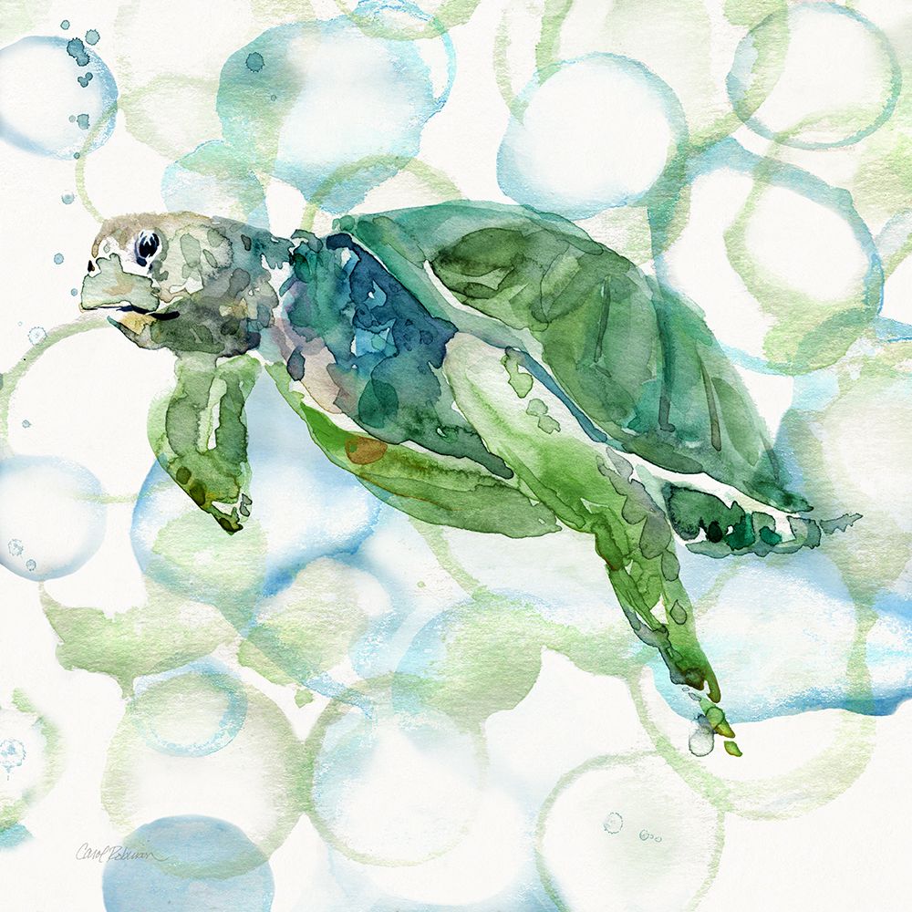 Turtle Bubbles II art print by Carol Robinson for $57.95 CAD